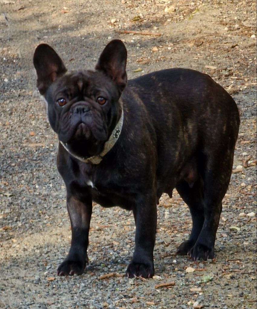 Ushka de la Vallée des Mammouths